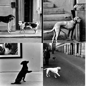 black-white_Henri Cartier-Bresson_0.7735415_0184