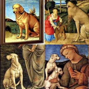 fineart_Filippino Lippi_0.7163017_0529